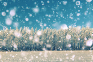 中畑智江『同じ白さで雪は降りくる』人生に雪の白さが新しく